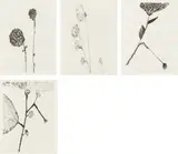 Louise Bourgeois, Homely Girl, A Life, Volume I: plates 2; 4; 6; and 7, 1992, Four drypoints, on Somerset paper, with full margins,