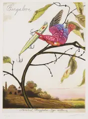 Walton Ford, Bangalore, 2004, Etching, aquatint and drypoint in colors, on Rives BFK paper, with full margins,
