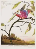 Walton Ford, Bangalore, 2004, Etching, aquatint and drypoint in colors, on Rives BFK paper, with full margins,