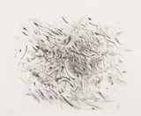 Julie Mehretu, Haka, from Artists for Obama