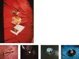 Ed Ruscha, Tropical Fish Series, 1975, The complete set of five screenprints in colours with lacquer overprint, on Arches 88 paper, the full sheets