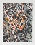 Mark Bradford, Untitled, 2012, Archival inkjet with carborundum, on wove paper, with full margins,
