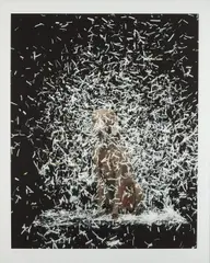Blizzard by William Wegman, 2003, Pigment print, on wove paper, with full margins,, sold Oct 2014