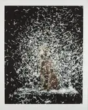 William Wegman, Blizzard