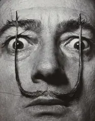 Dali's Mustache by Philippe Halsman, 1953, Gelatin silver print, sold Apr 2014