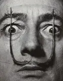 Philippe Halsman, Dali's Mustache