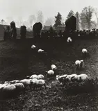 Bill Brandt, Avebury Stone Circle, Wiltshire