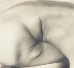Imogen Cunningham, Side, 1930s, Gelatin silver print
