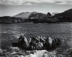 From Point Lobos by Edward Weston, 1939, Gelatin silver print, printed 1949, offered Apr 2014