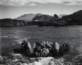 Edward Weston, From Point Lobos, 1939, Gelatin silver print, printed 1949