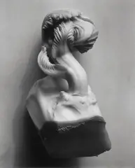 Cabbage Fragment by Edward Weston, 1931, Gelatin silver print, printed 1949, offered Apr 2014