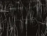 Reeds, Oregon by Brett Weston, 1975, Gelatin silver print, printed 1980, sold Apr 2014