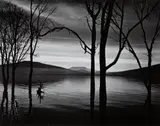 Lake Pátzcuaro, Mexico by Brett Weston, 1976, Gelatin silver print, offered Apr 2014