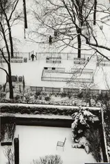 February 5, #25 by André Kertész, 1975, Gelatin silver print, sold Apr 2014