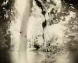 Untitled from Deep South by Sally Mann, 1998, Toned gelatin silver print, sold Apr 2014