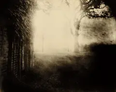 Untitled from Deep South by Sally Mann, 1998, Toned gelatin silver print, sold Apr 2014