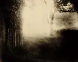 Untitled from Deep South by Sally Mann, 1998, Toned gelatin silver print, sold Apr 2014