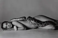 Richard Avedon, Nastassja Kinski and the Serpent, Los Angeles, California, June 14, 1981, Gelatin silver print