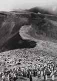 Chinstrap Penguins (Pygoscelis Antarctica), Deception Island, Antarctica by Sebastião Salgado, 2005, Gelatin silver print, sold Apr 2014