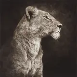 Portrait of Lioness Against Rock, Serengeti by Nick Brandt, 2007, Archival pigment print, sold Apr 2014