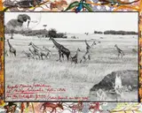 Peter Beard, Kaputi Plains/ Athi River at Philip Percival's 'Potha Estate', For The End of the Game, 1964, Gelatin silver print with ink, paint, affixed gelatin silver prints and drawings by the artists Kivoi Mathenge, E. Mwangi Kuria, printed 2008