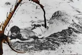 Peter Beard, I'll Write Whenever I Can, Koobi Fora, Lake Rudolf, 1965, Gelatin silver print with ink, blood and affixed fountain pen nib, printed later