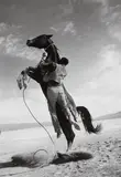 Ernst Haas, Leaping Horse on the set of The Misfits, Nevada