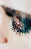 Spyder by Marilyn Minter, 2006, Chromogenic print, flush-mounted, sold Apr 2014