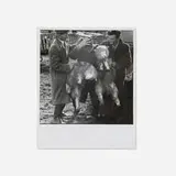 Dorothea Lange, Paddy O'Flannagan of County Galway, Ireland, 1954, vintage gelatin silver print