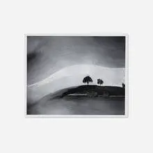 William Garnett, Two Trees on Hill with Shadows, Paso Robles, California