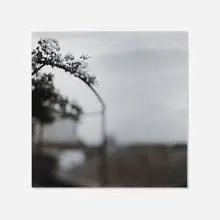 Rose Arbor (Gold Toned) by Keith Carter, 1998, toned gelatin silver print, sold Mar 2026