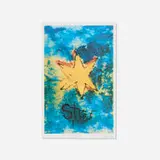 David Bowie, Star, 1998, lithograph in colors on Fabriano