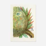 Ananas (Pineapple) by Salvador Dalí, 1967, photolithograph in colors with etched remarques on Japon nacré, sold Jan 2026