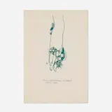Jim Dine, Study for the Rings on Dorian Gray's Hand (from The Picture of Dorian Gray series), 1968, etching in colors