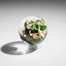 Paul Stankard, Botanical orb, c. 2005, lampworked glass, polished clear glass