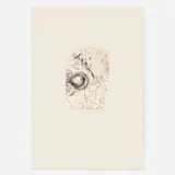 Salvador Dalí, L'enfer des beautés cruelles (from the Le Décameron portfolio), 1972, drypoint in colors