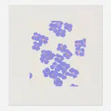 Donald Sultan, Wallflower 15 (from the Wallflowers portfolio), 2008, screenprint in colors