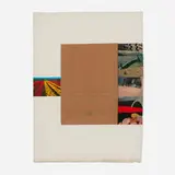 Robert Rauschenberg, Plot (from the Reality and Paradoxes portfolio), 1973, mixed media collage