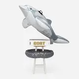 Jeff Koons, GOAT: A Tribute to Muhammad Ali (Champ's Edition), 2004, bound printed paper, inflatable PVC dolphin and tire, painted wood, maple, gelatin silver print