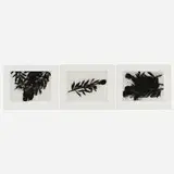 Donald Sultan, Black Roses, Dec. 1989, 1989, aquatint on paper