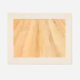 Sylvia Plimack Mangold, Floor I