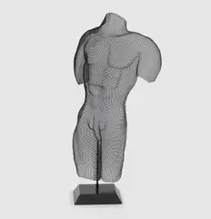 Randy Cooper, Wirework sculpture depicting a male nude torso