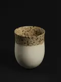 Jennifer Lee, 'Pale, speckled collar' vessel, logbook number JL731