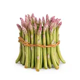 Massachusetts, early 21st century, unmarked, ht. 6 1/4, approx. dia. 6 1/2 in. by Katherine Houston Porcelain Asparagus Planter, sold May 2024