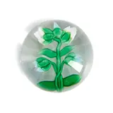 France, ht. 2, dia. 2 3/4 in. by Baccarat Clematis Bud Glass Paperweight, sold May 2024