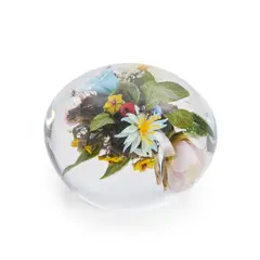 Paul Stankard, Botanical Paperweight with Root Person, Stankard V 12 2000" and "SO 339" in cane, in a Leo Kaplan box, paperweight ht