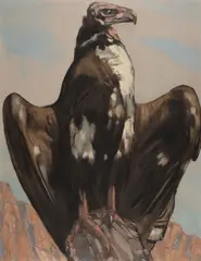 Paul Jouve, Le Vautour (Vulture)