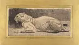 Paul Jouve, 'Lionne' (Lion)