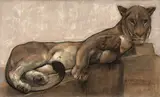 Paul Jouve, 'Lionne Couchee sur un Rocher'