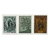 Desidero Hernández Xochitiotzin, a) La Guadalupana, Serigrafías 18 / 50